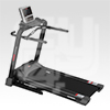 BIEŻNIA ELEKTRYCZNA YORK FITNESS T-II 3000